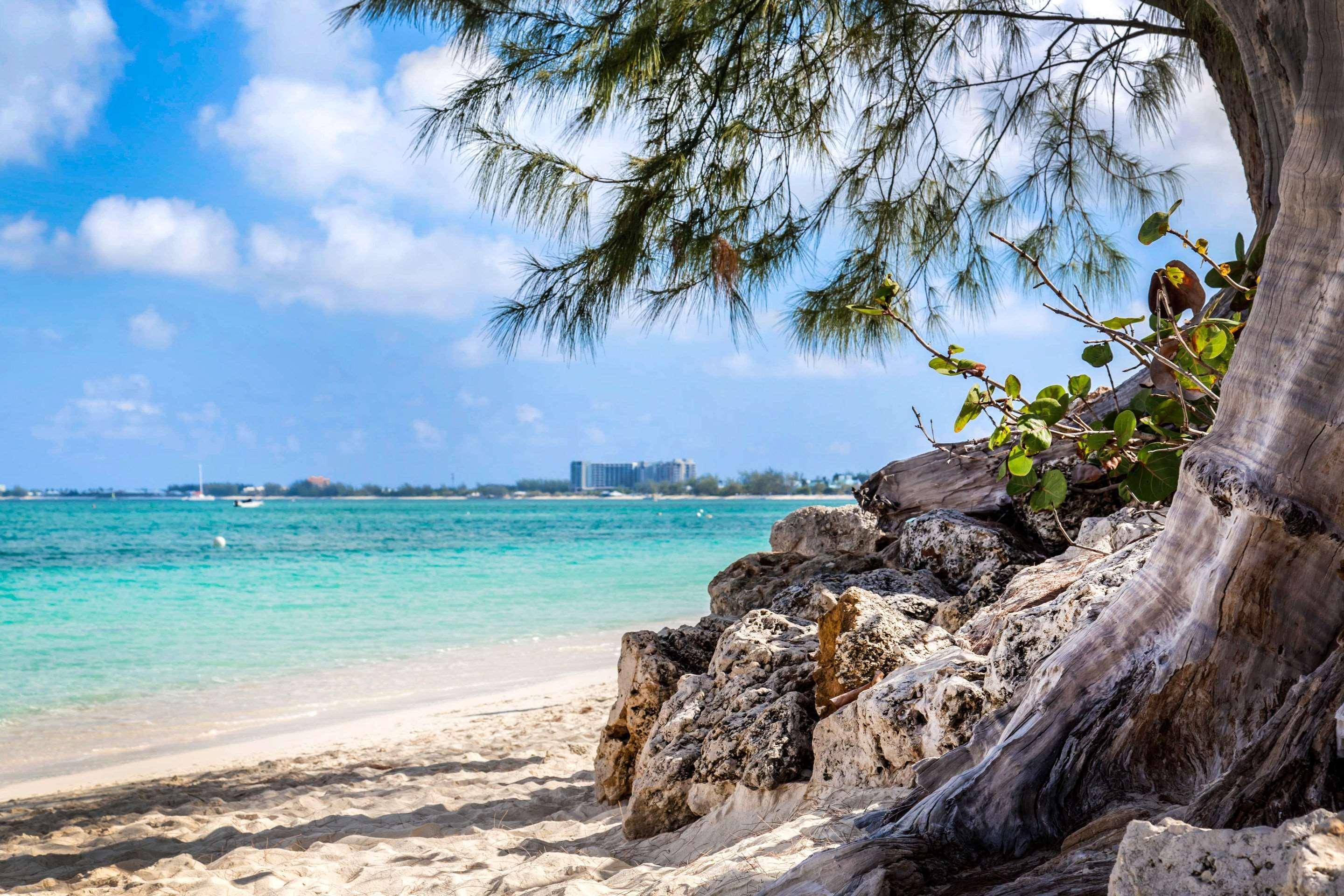 Hampton By Hilton Grand Cayman Seven Mile Beach George Town Eksteriør billede